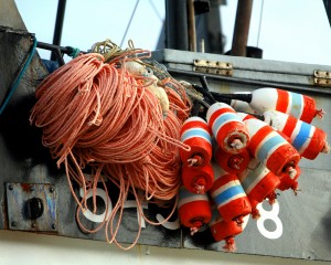 Boat buoys