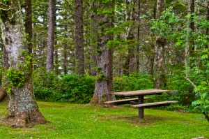 Park and Bench