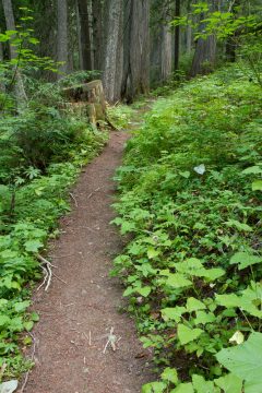 Boise National Forest Hiking Trail