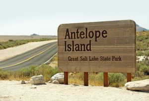 Antelope Island - Great Salt Lake State Park