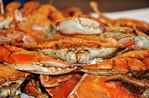 Steamed Blue Crab