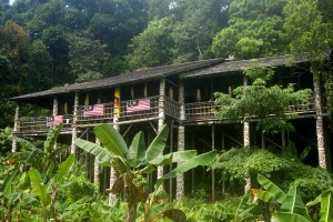 Malaysia Celebrates the End of the Rice Harvest with Gawai Dayak!