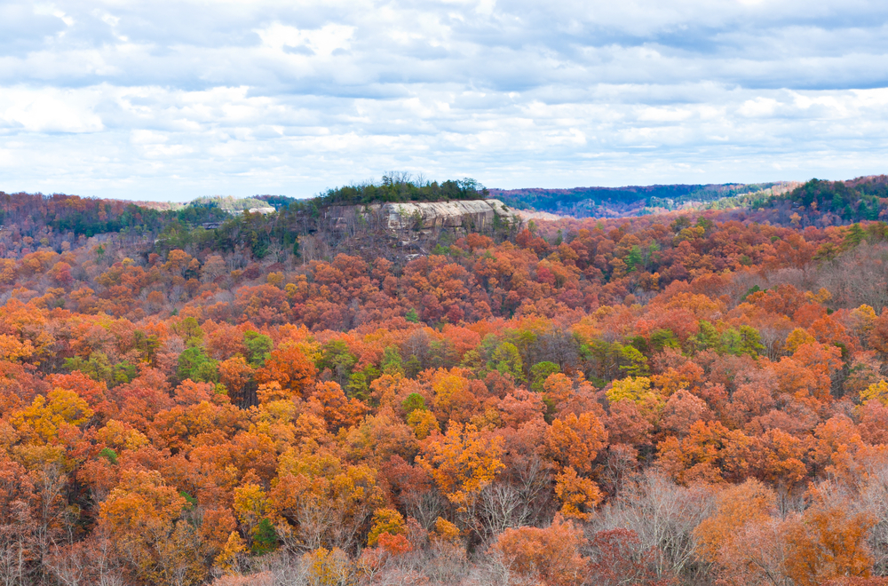 Red River Gorge