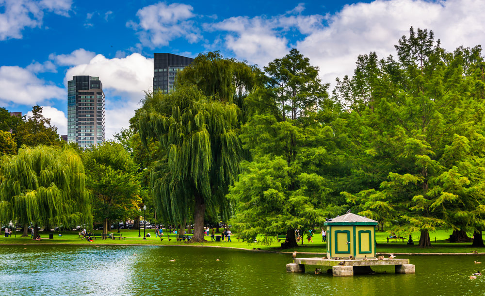 Boston Common