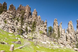 Custer State Park