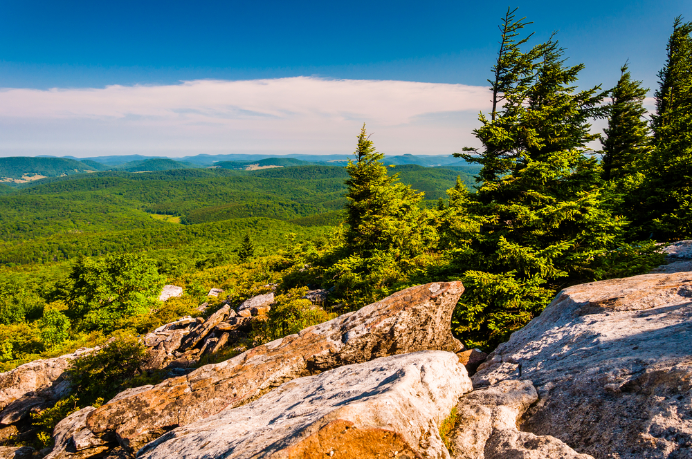 Spruce Knob Peak