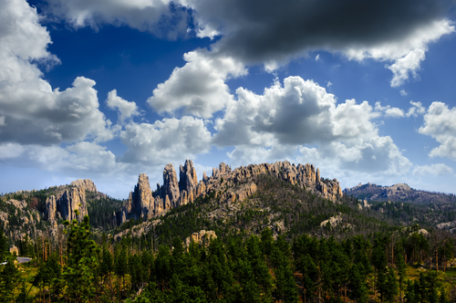 Custer State Park