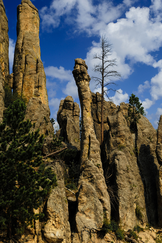 Cathedral Spires