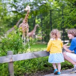 Children looking at giraffes at zoo