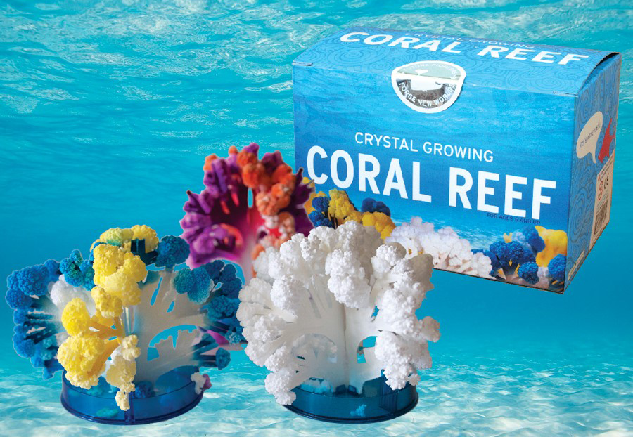 Coral reef crystal growing kit