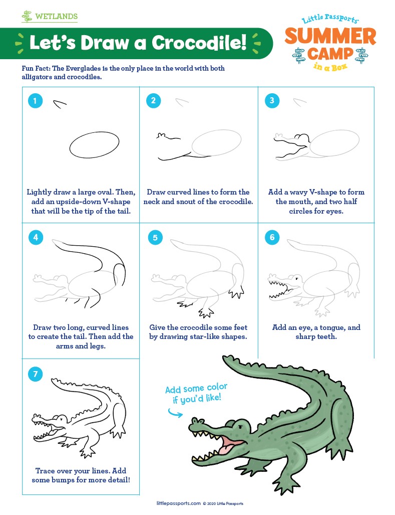 Easy How to Draw Jungle Animals For Kids | Art Resources