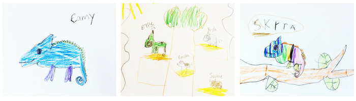 Kid's drawings of chameleons