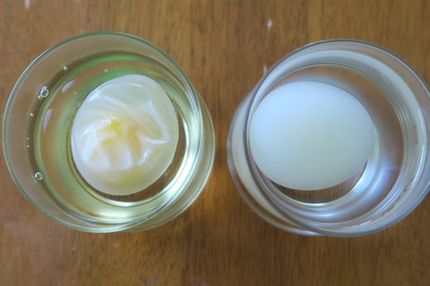 Two Egg Comparison