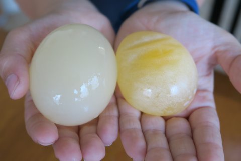 Holding naked two eggs in hand