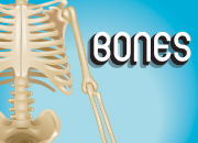 Bones