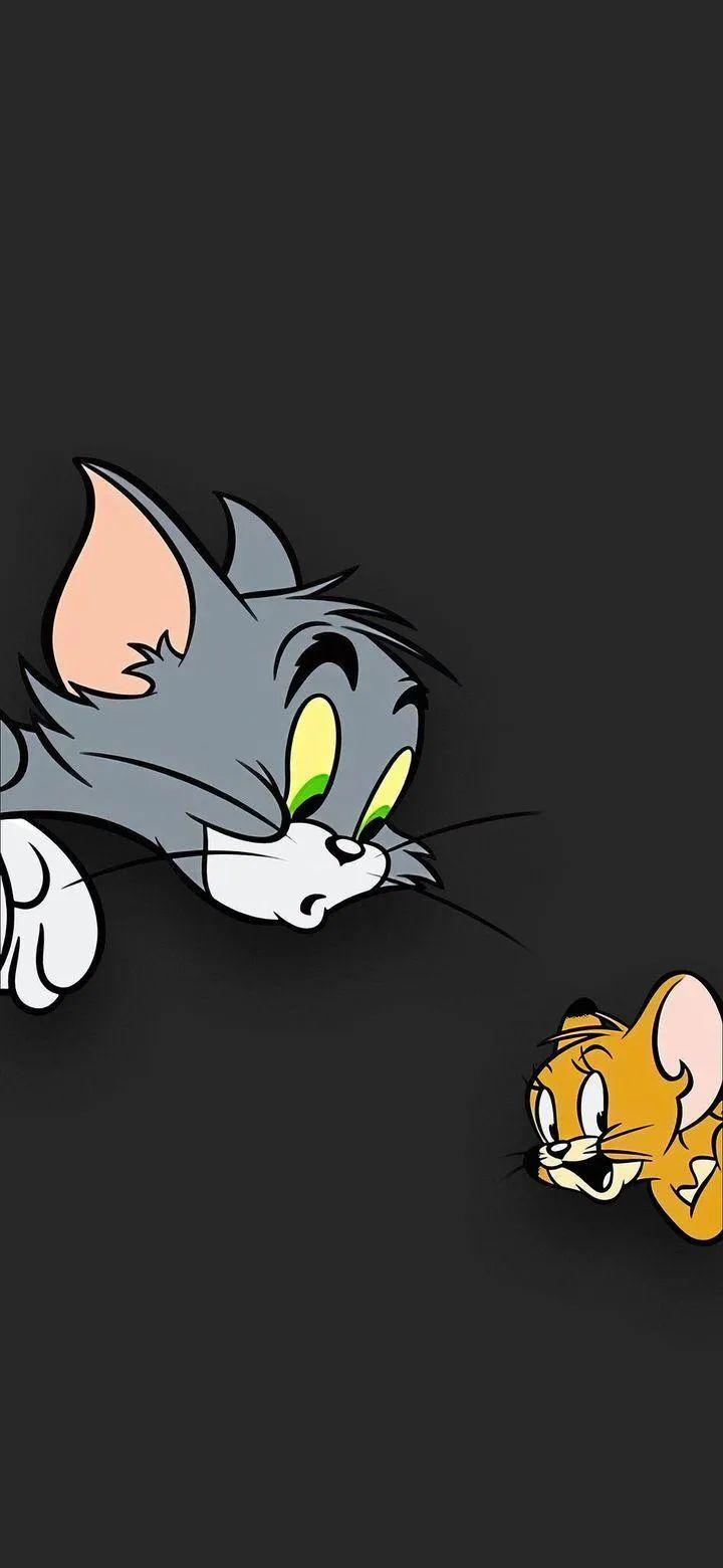 Explore the best Tom & Jerry mobile wallpapers! Find vibrant and fun designs to personalize your phone with this classic cartoon duo today!