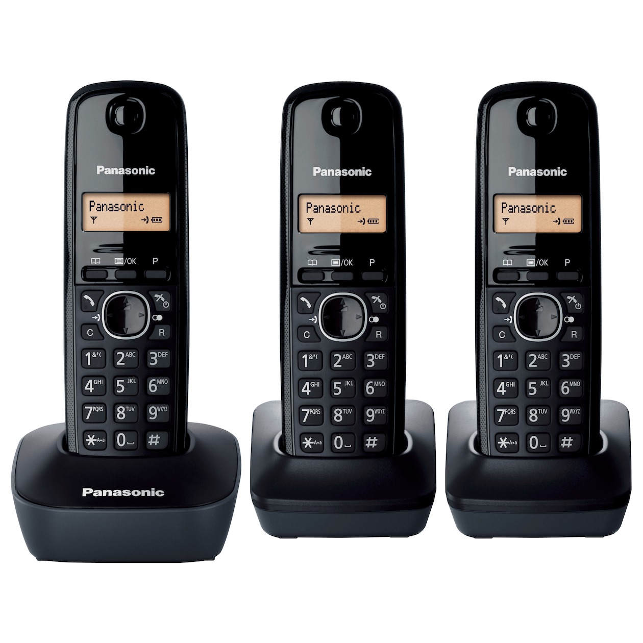Telefoonleader - Panasonic KX-TG1613