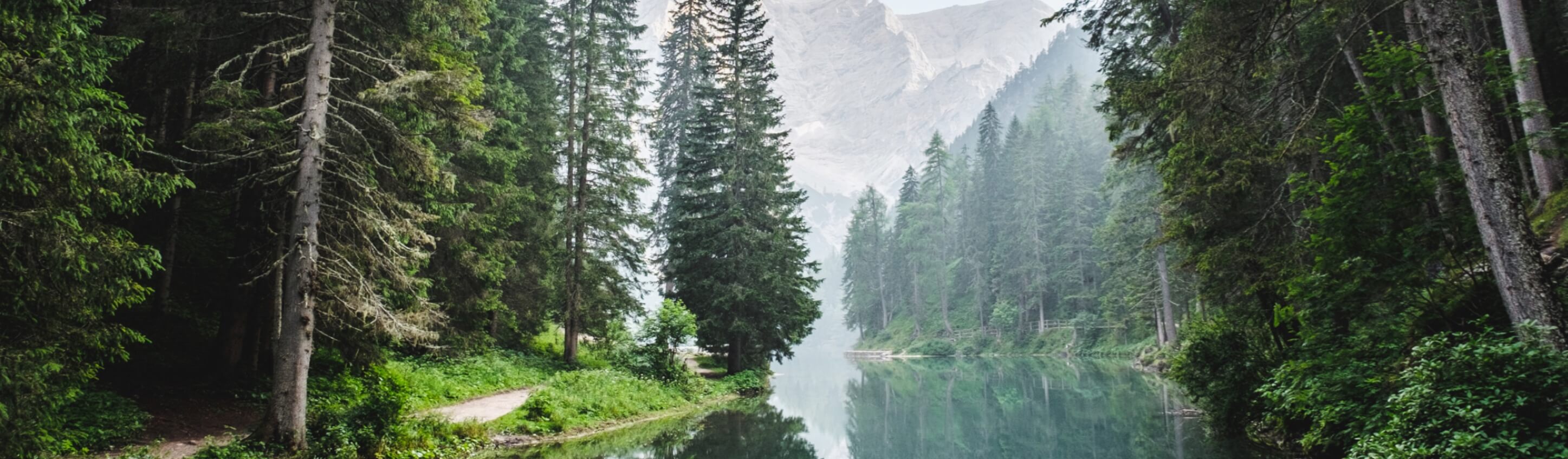 Forest and lake with snow-topped mountains in distance