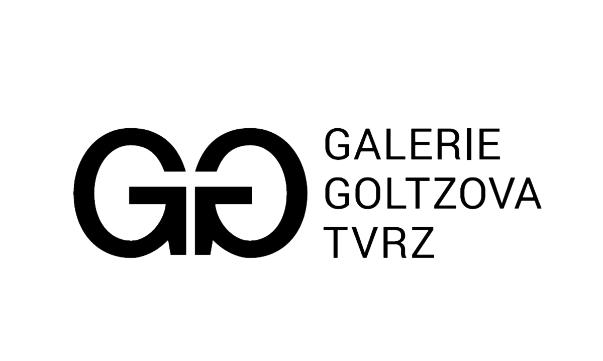 Galerie Goltzova tvrz - společná aukce obrázek