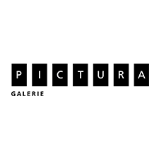 Galerie Pictura