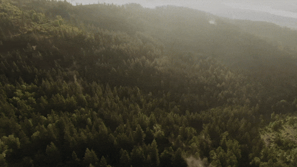 Custom branded slides