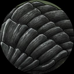The Shell Monster