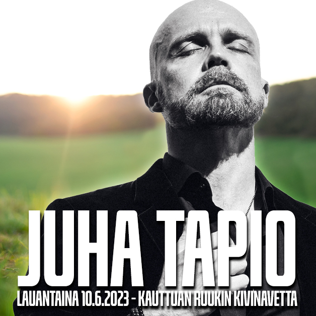 Juha Tapio, Kauttuan Ruukin kivinavetta 