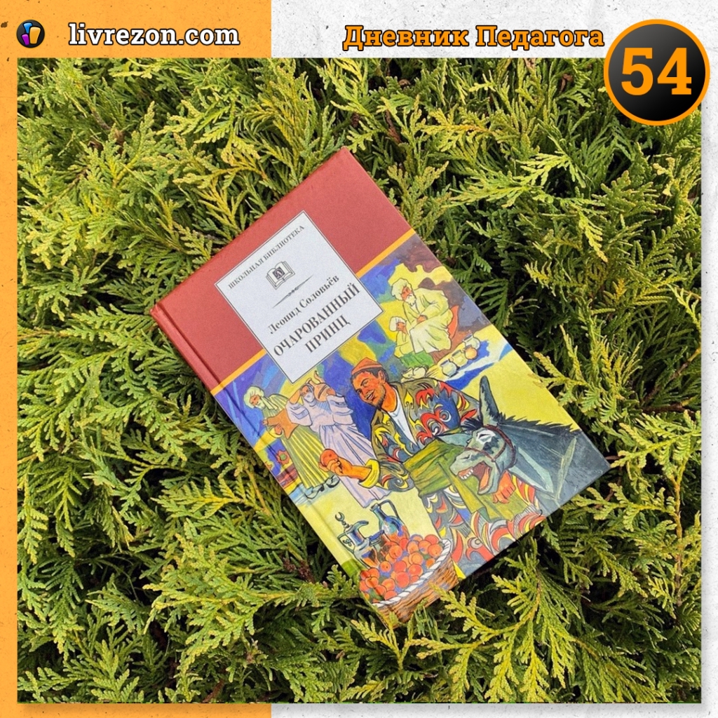 ДНЕВНИК ПЕДАГОГА. Надежда Братчикова. Запись #54 – База знаний Ливрезон