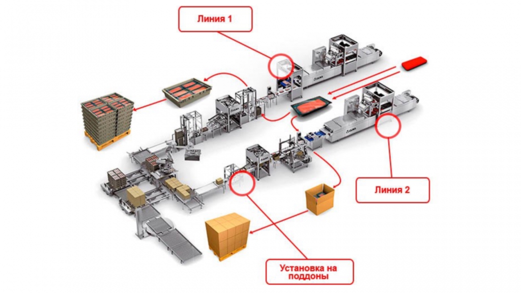 Линия упаковки в коробки. Упаковочная линия схема. Линия упаковки схема. Упаковочная линия Zero. Упаковочная линия для кабеля.