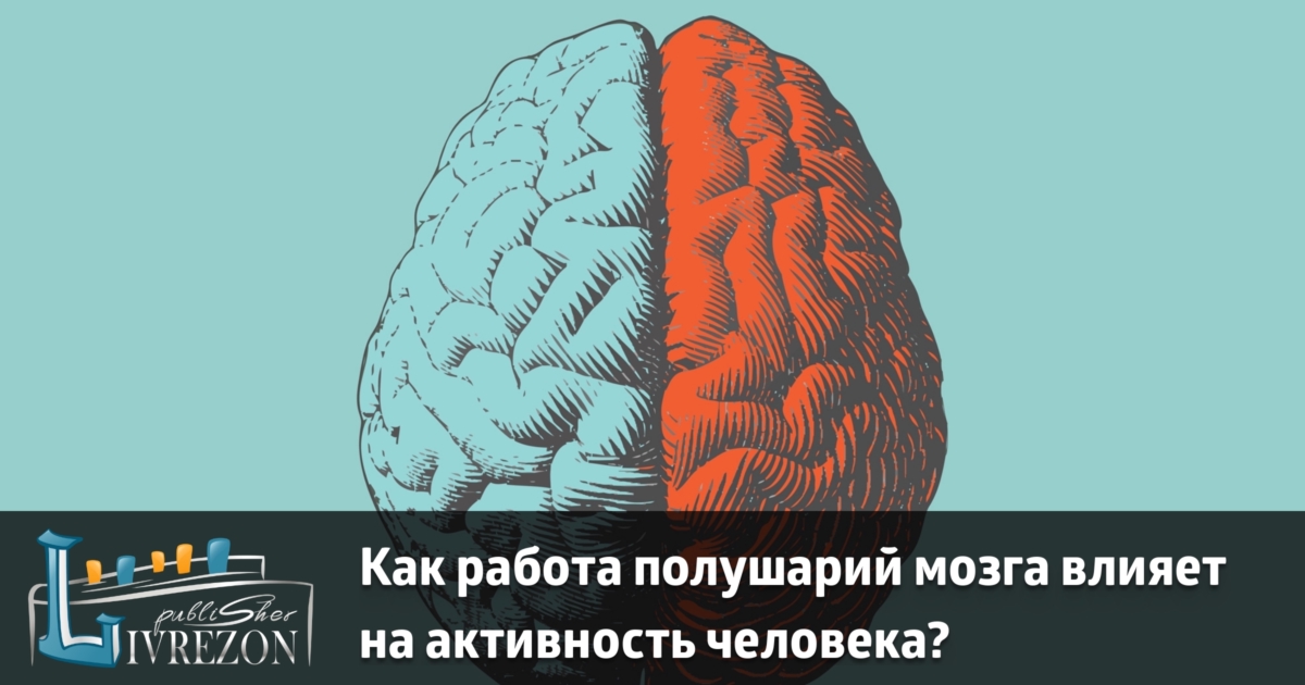 Сколько различий между картинками brain