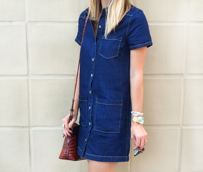 Fall Style Staple: Denim Dress - LivvyLand | Austin Fashion and Style ...