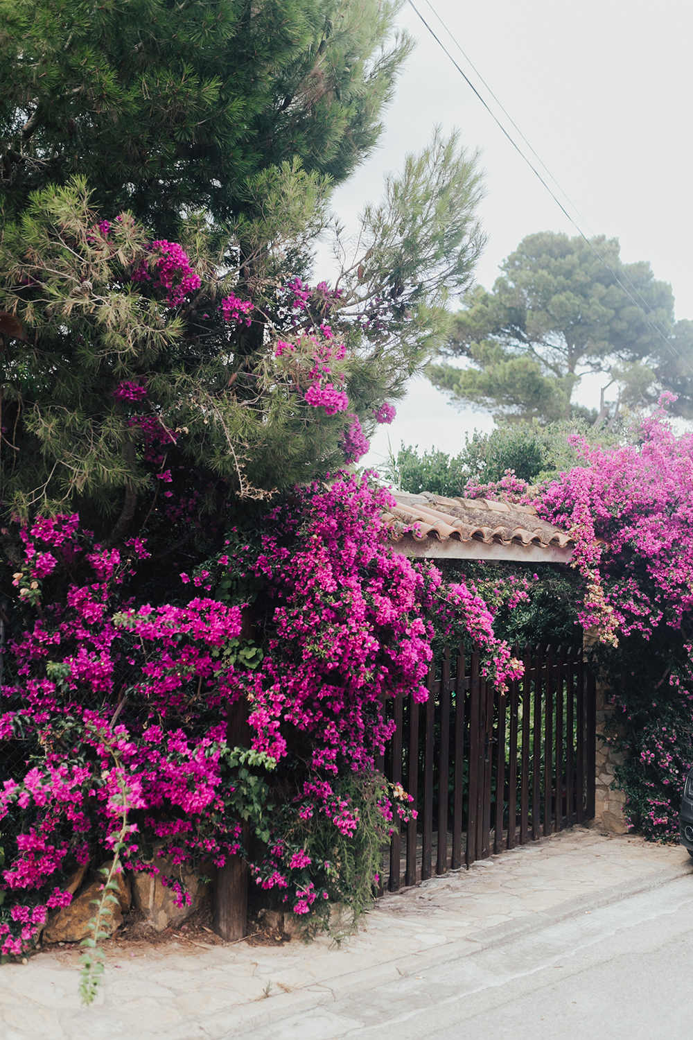 livvyland-blog-olivia-watson-travel-fashion-blogger-barcelona-spain-costa-brava-pals-beach-catalonia-bougainvillea