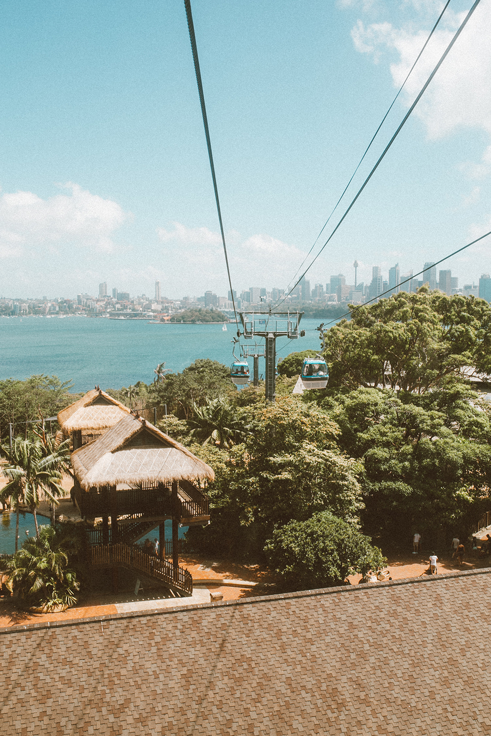 livvyland-blog-olivia-watson-austin-texas-fashion-travel-lifestyle-blogger-sydney-melbourne-australia-taronga-zoo-tram-view