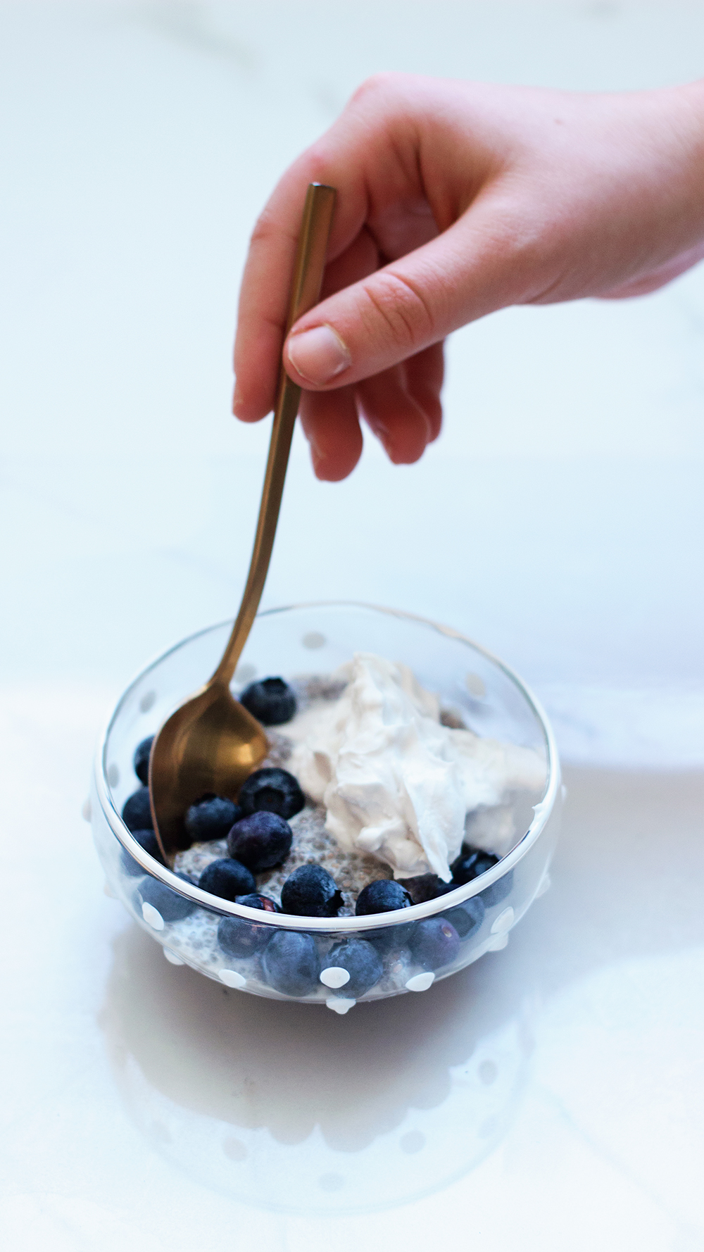 livvyland-chia-seed-pudding-recipe-jessica-lee-austin-texas-fashion-lifestyle-blog-1