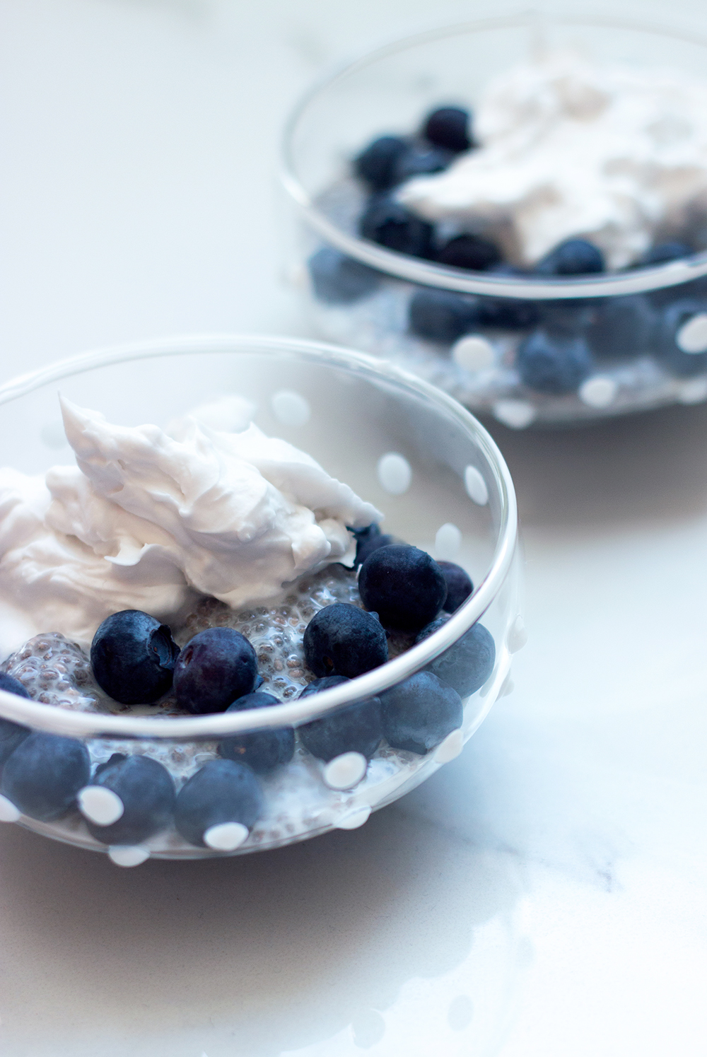 livvyland-chia-seed-pudding-recipe-jessica-lee-austin-texas-fashion-lifestyle-blog-2