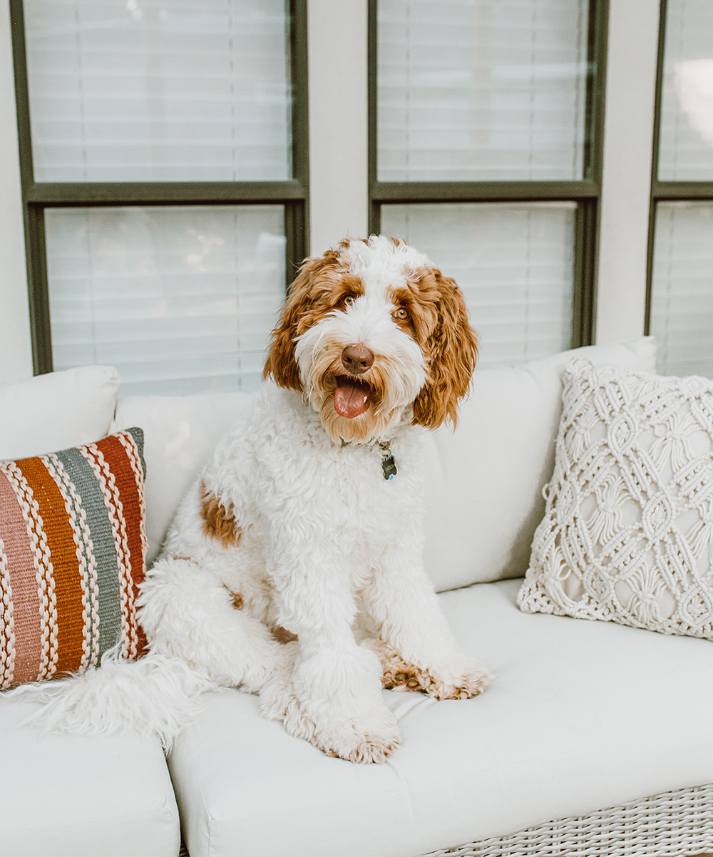 livvyland-blog-olivia-watson-before-after-outside-patio-renovation-reveal-furniture-austin-texas-lifestyle-blogger-19