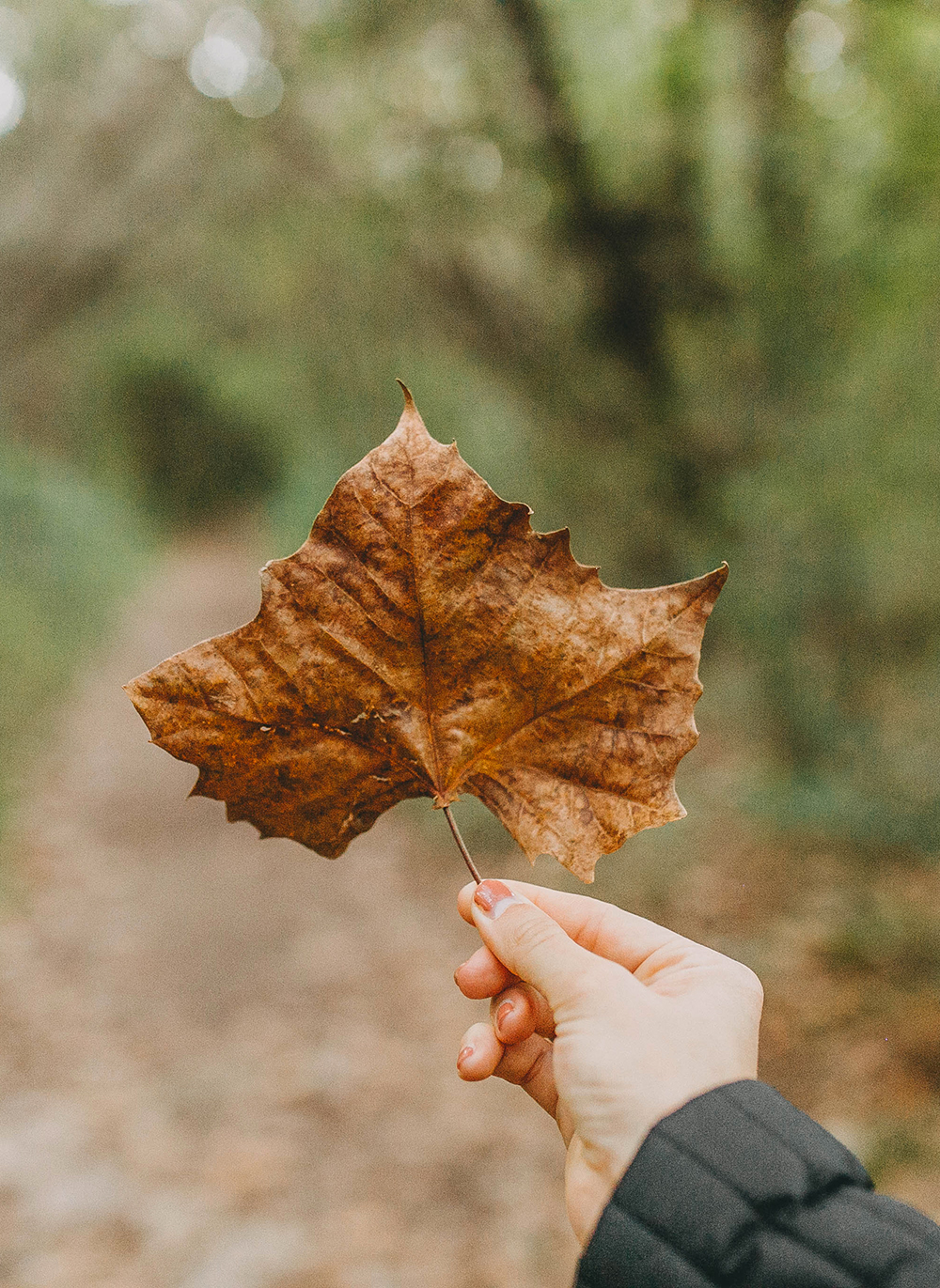 What To Wear: Fall Hiking Outfit, LivvyLand