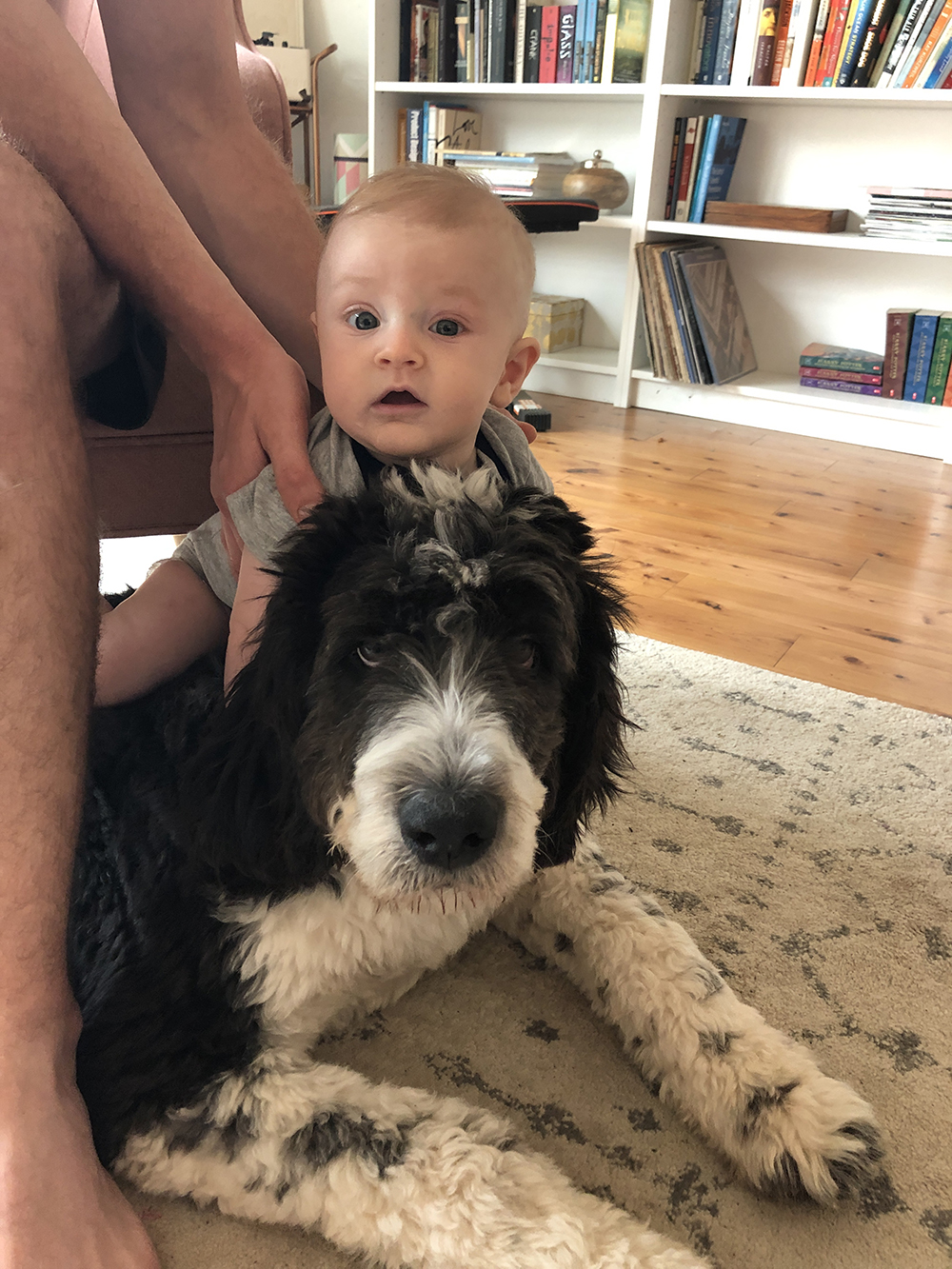 jude-four-month-update-lulu