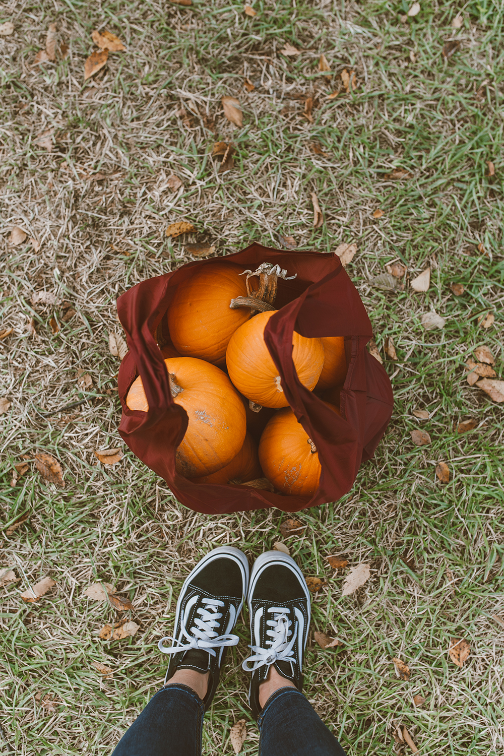 livvyland-blog-olivia-watson-austin-texas-lifestyle-fashion-blogger-patagonia-los-gatos-vest-outfit-pumpkin-patch-6