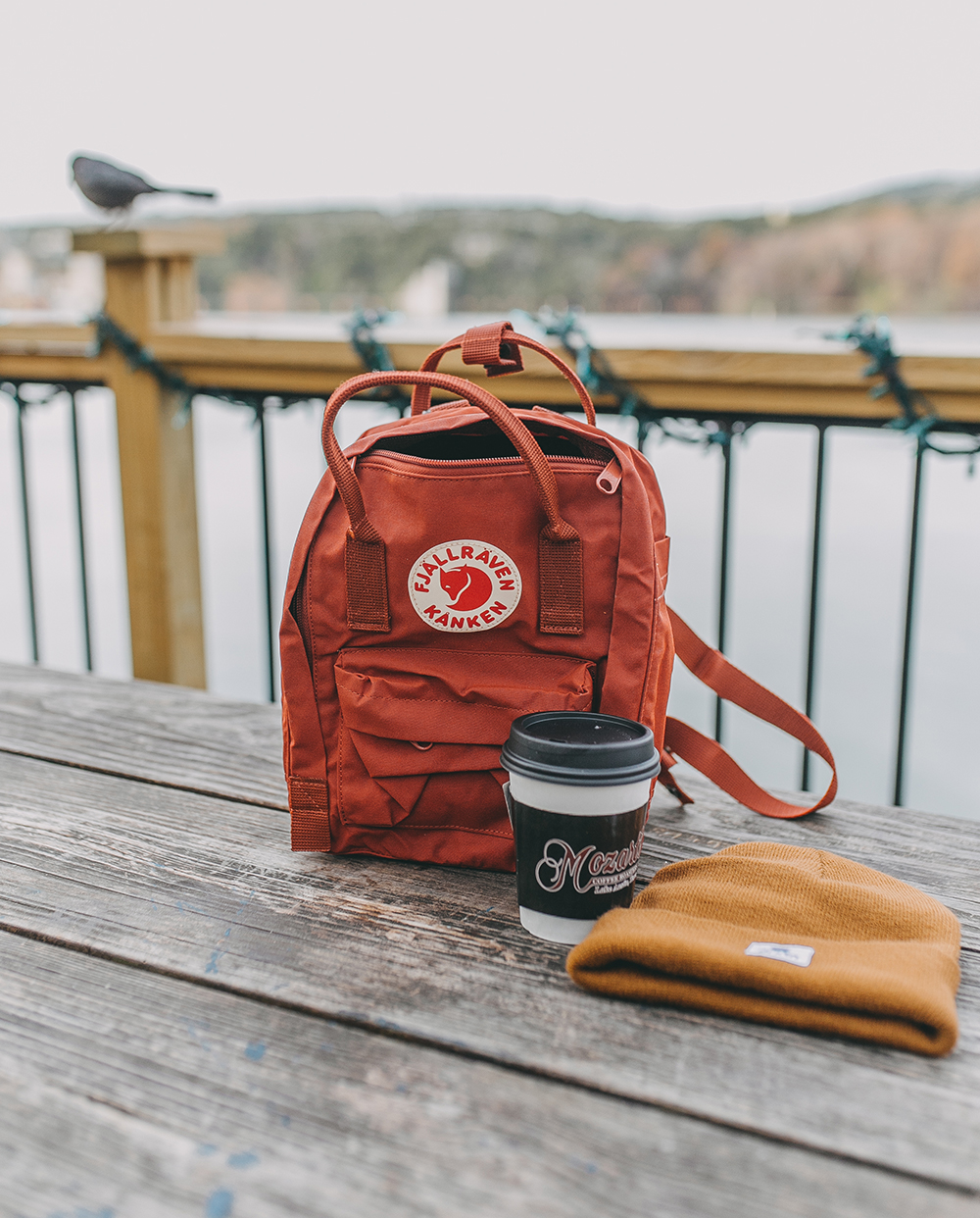 livvyland-blog-olivia-watson-austin-texas-lifestyle-motherhood-blogger-mozarts-coffee-fjallraven-kanken-terracotta-mini-backpack-1