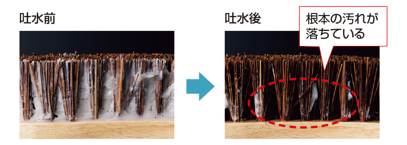 洗浄力の実験