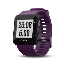 Garmin Forerunner 30 product image