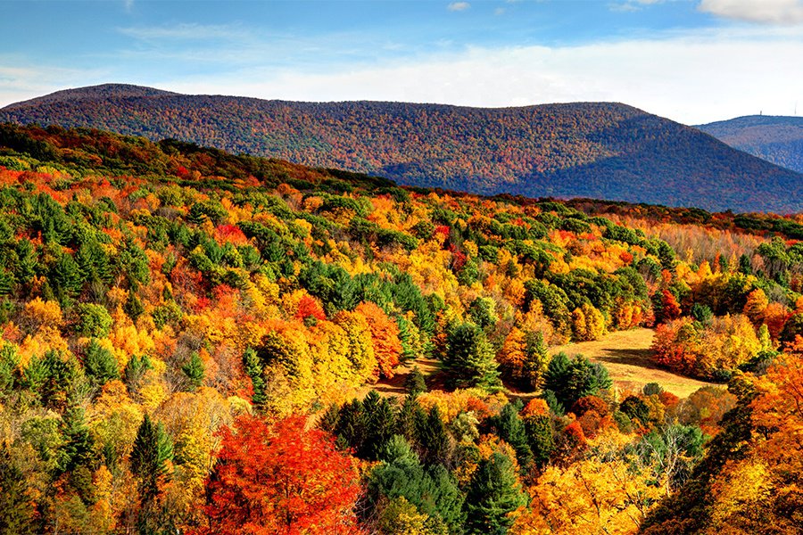 Berkshires-foliage.jpg
