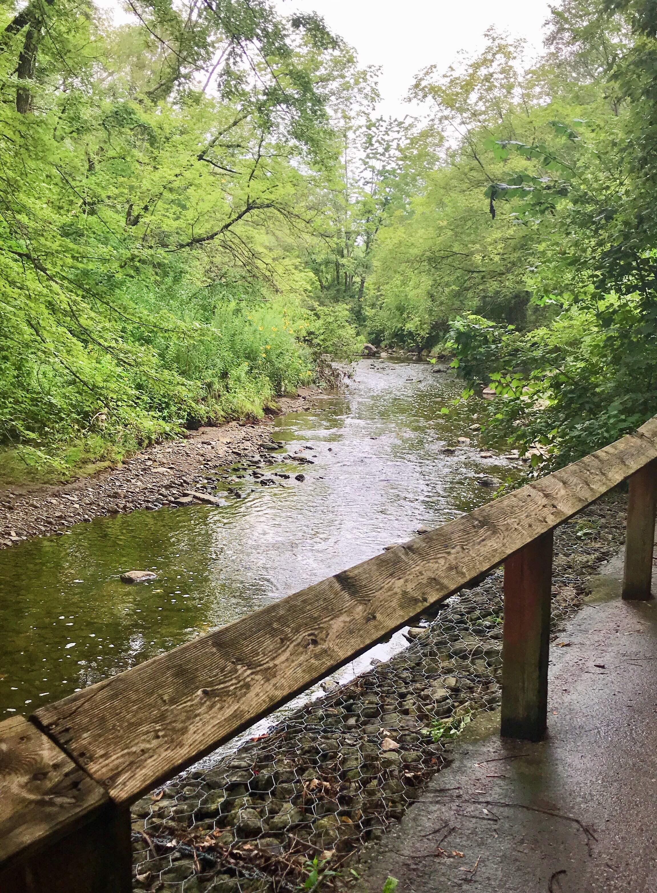 Toronto Echo Valley Park