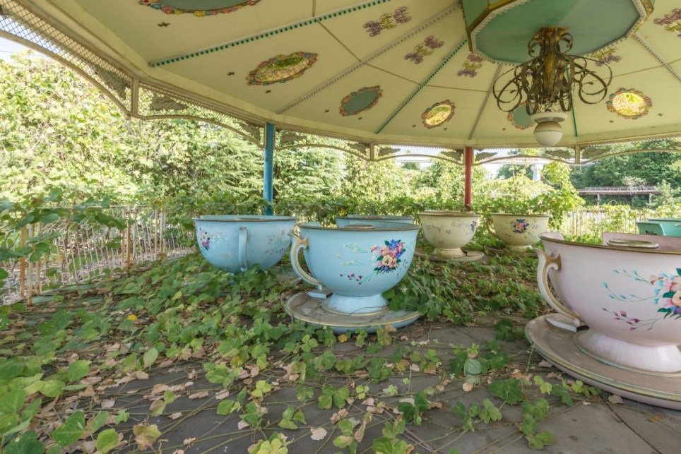 Nara Dreamland Cups.jpg