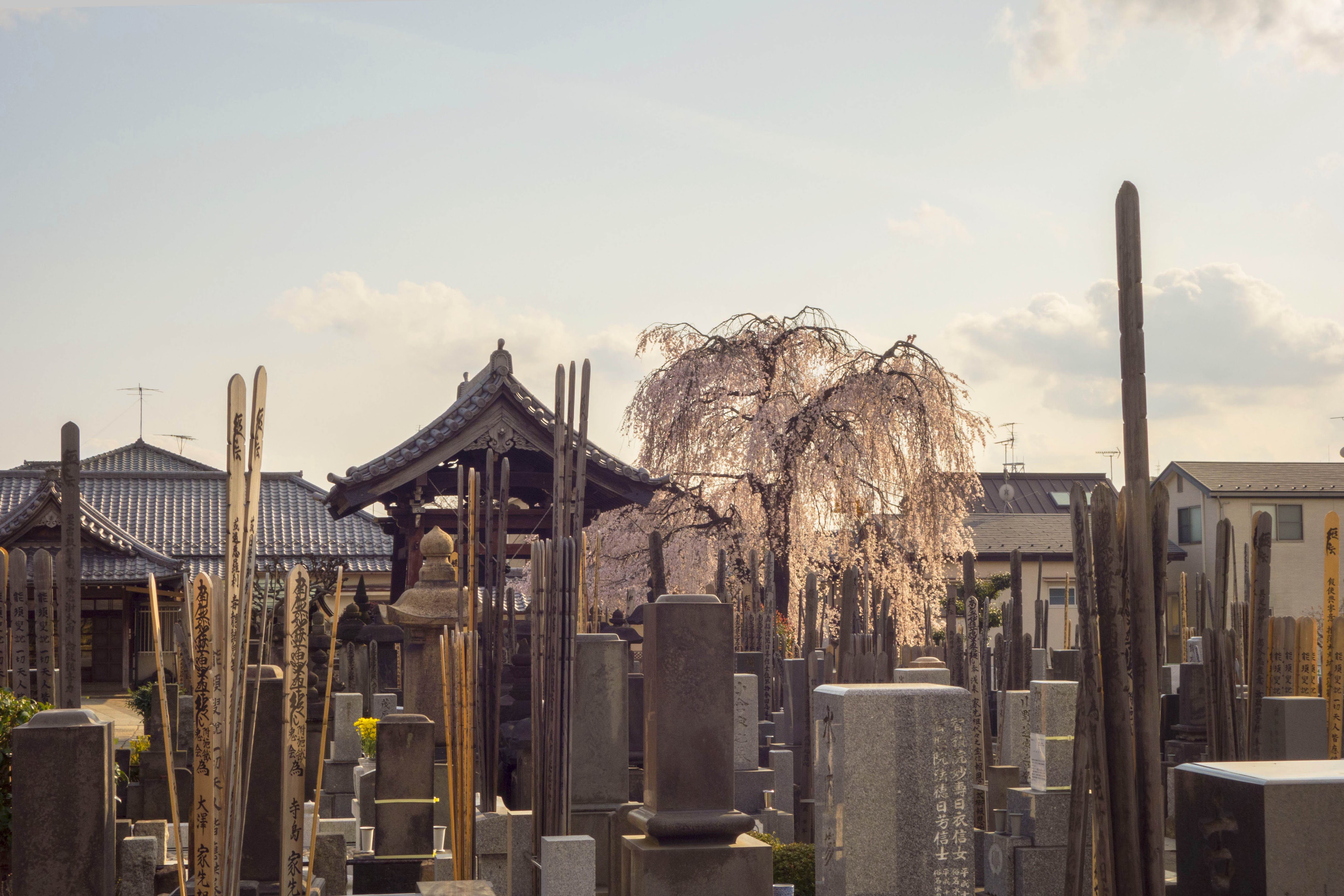 Yanaka-Adrienne-Cemetery.jpg