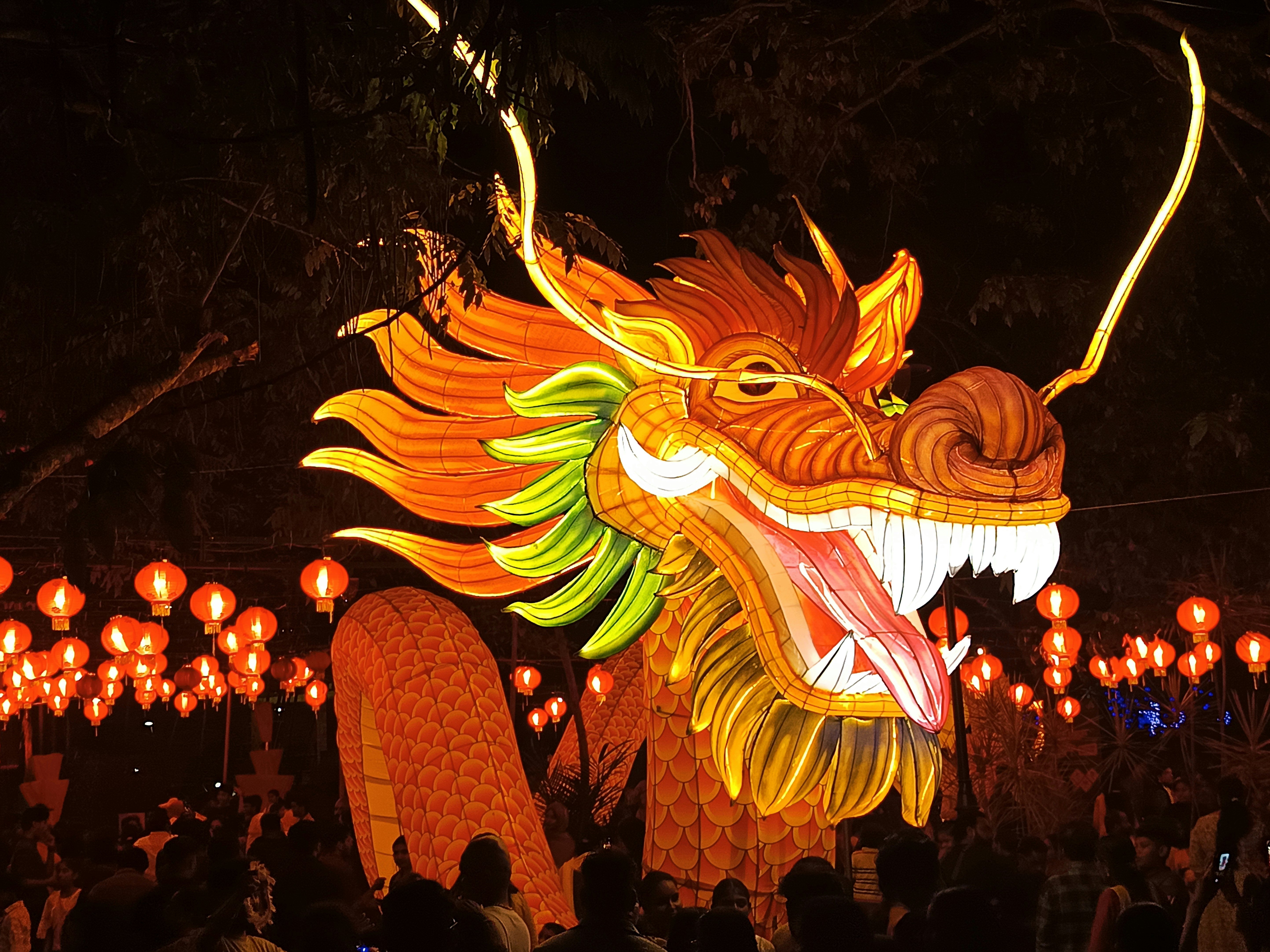 Chinese New Year in Beijing