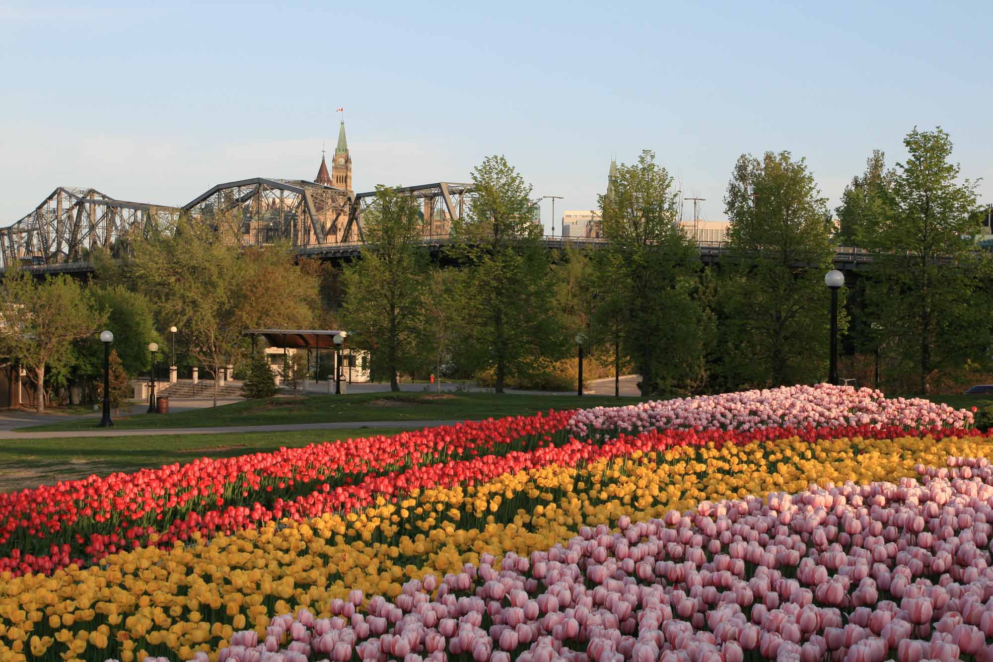 Ottawa Tulip Festival