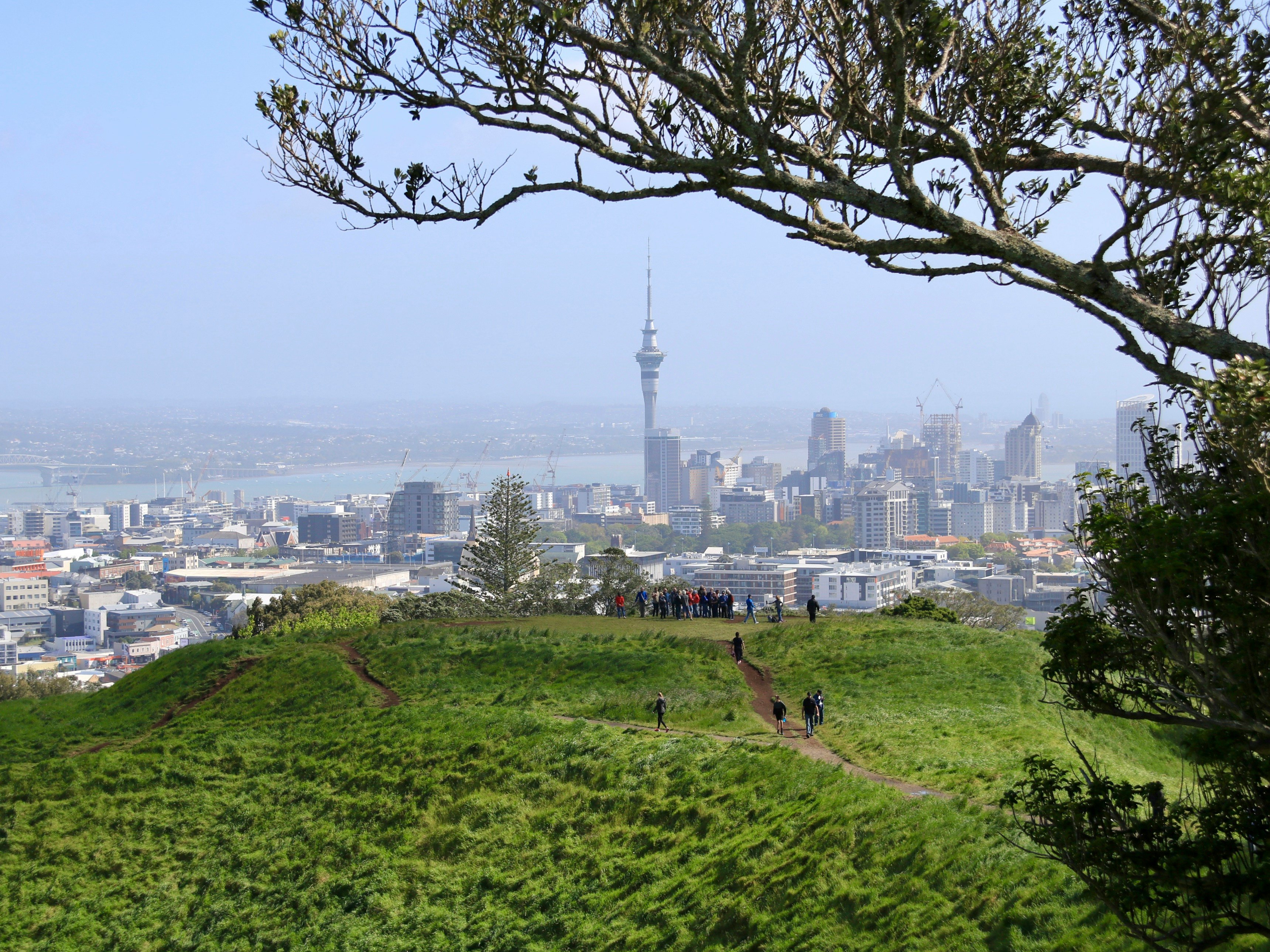 Auckland-8
