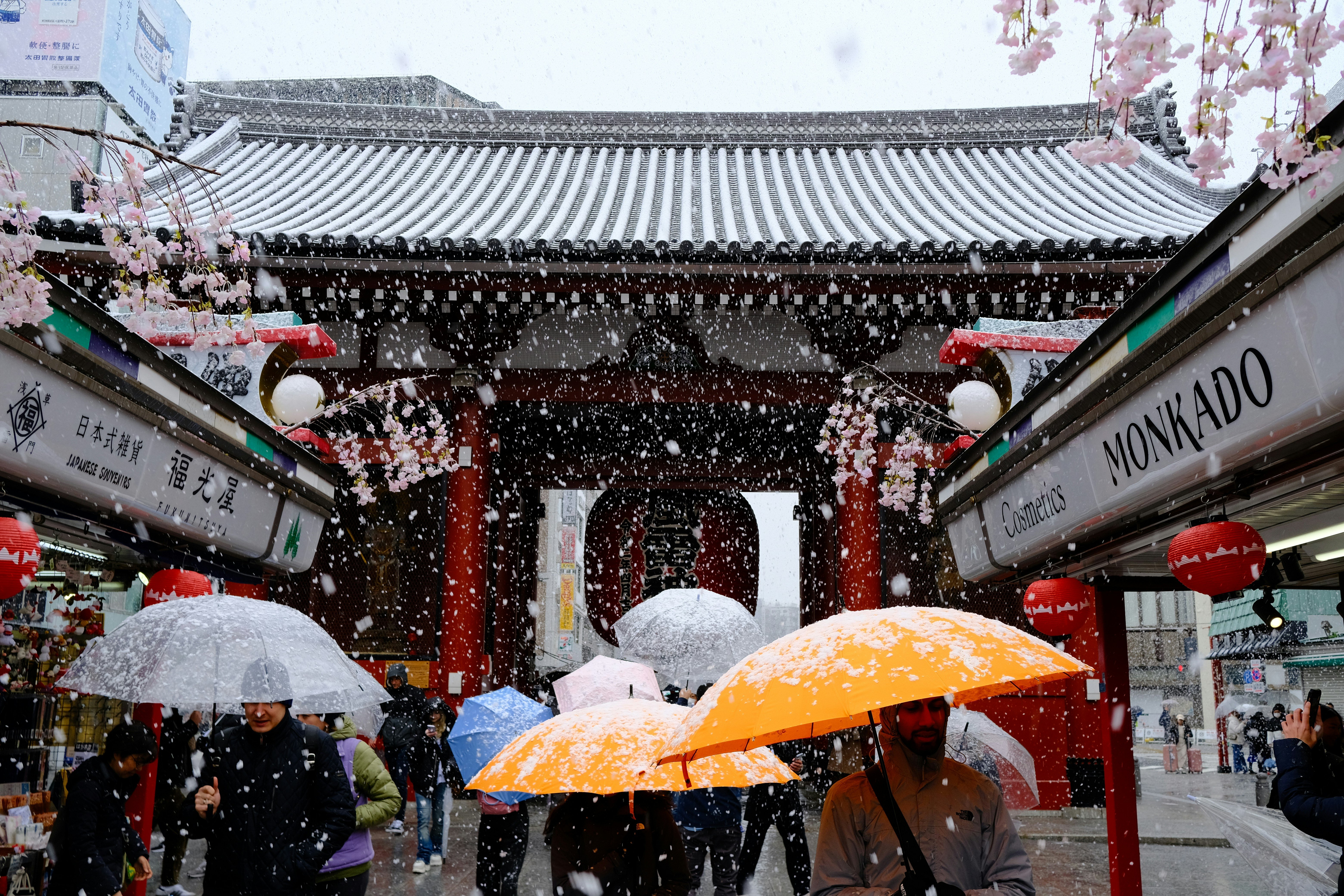Tokyo Winter Temples